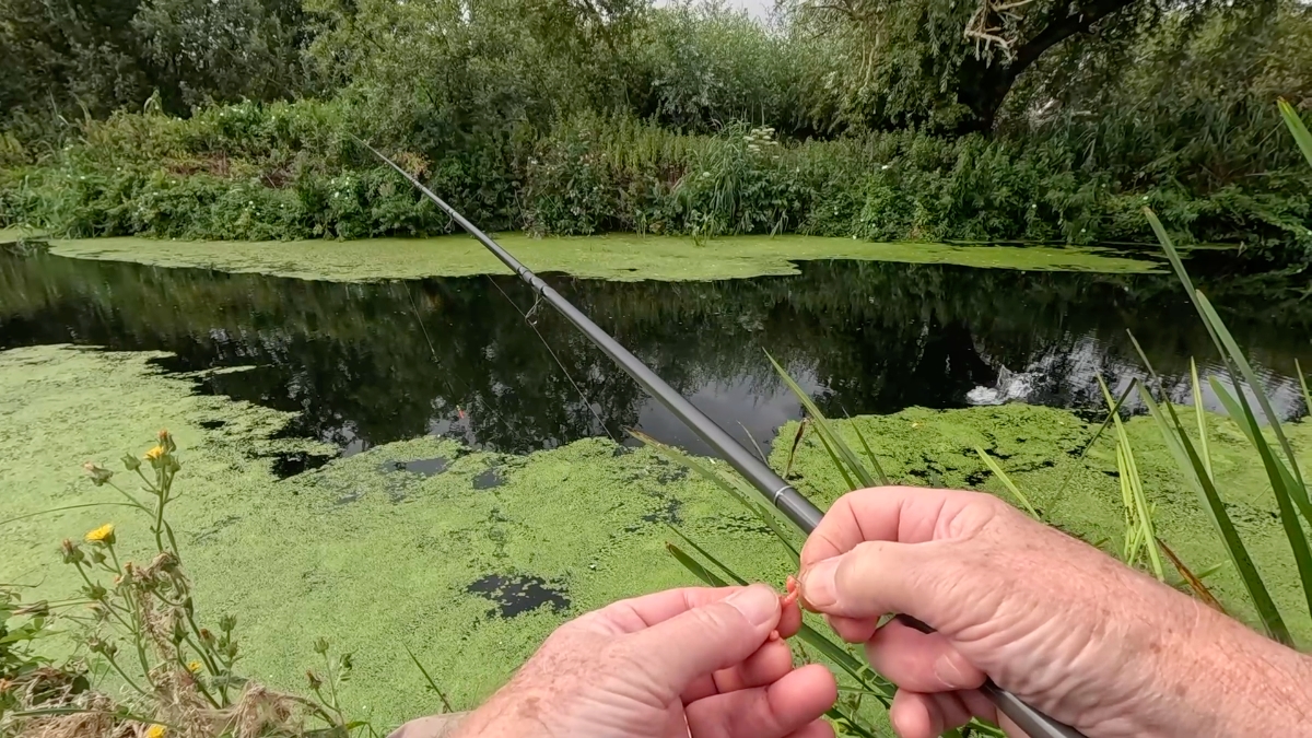 perch splash