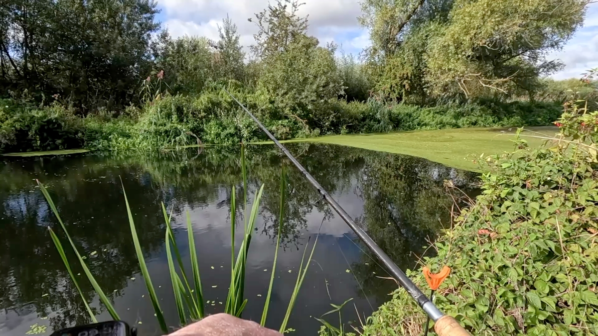 the swim