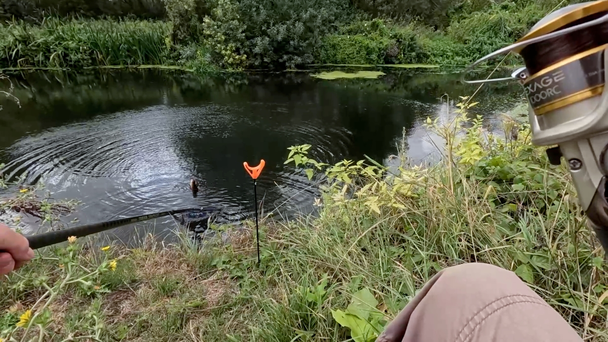 landing best perch