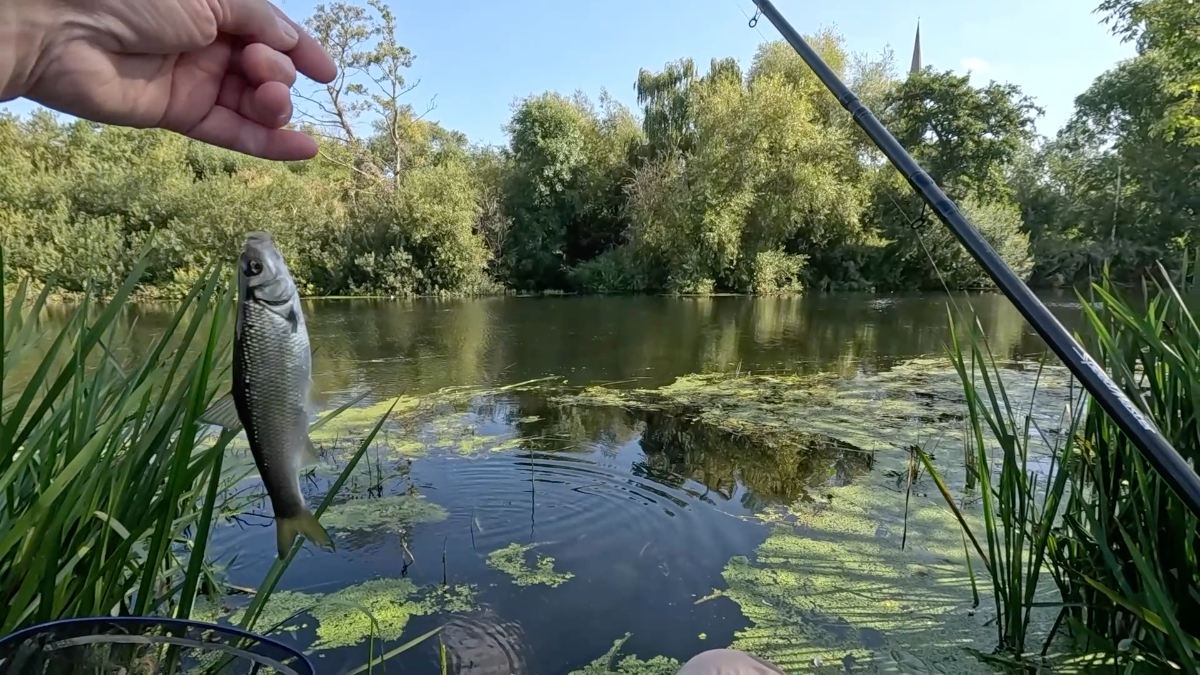 a reasonable dace